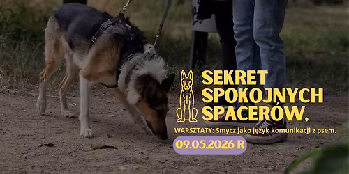 SEKRET SPOKOJNYCH SPACER\u00d3W. Smycz jako j\u0119zyk komunikacji z psem.
