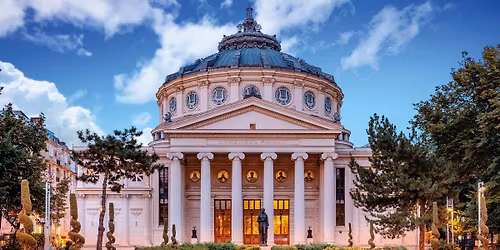 International Poetry Festival 2026