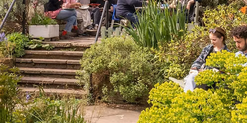 Summer Social picnic at Culpeper Garden