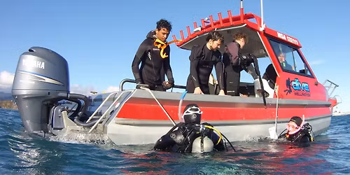F69 Boat Dive