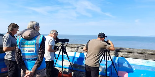 Wyre Sea Watch