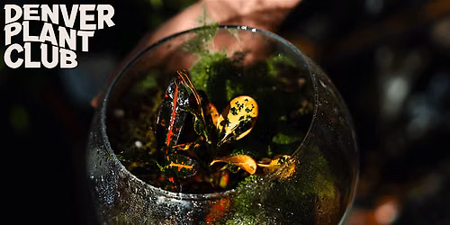 Terrarium Workshop with Denver Plant Club (7\/25\/26)
