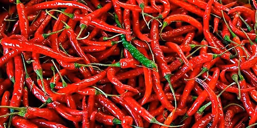 Curio Spice Co - Hot Sauce Challenge!