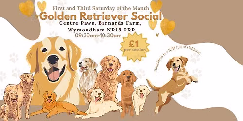Golden Retriever Saturday Social