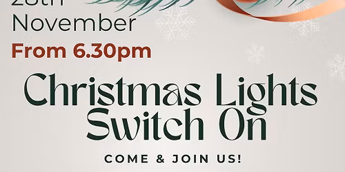 Christmas Light Switch On