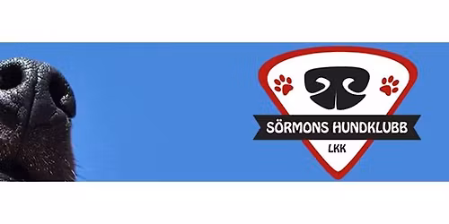 Heldagskurs med Maria Brandel 