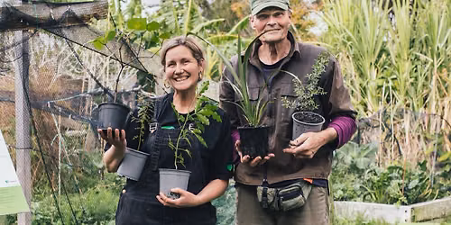 Native Plant Sale