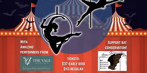 Creatures of the Night | 3rd Annual Aerial Acrobatics Fundraiser for BEEPS