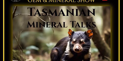 Launceston gem & mineral show 