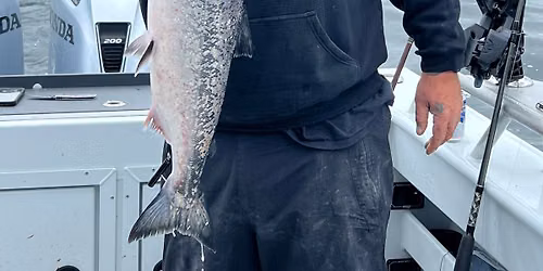 Salmon Season