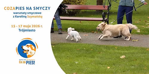 COZAPIES NA SMYCZY \u2013 warsztaty | elementy komunikacji ps\u00f3w i praca ze smycz\u0105