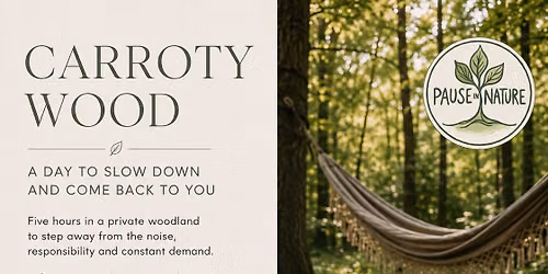 Woodland Reset with Stillness