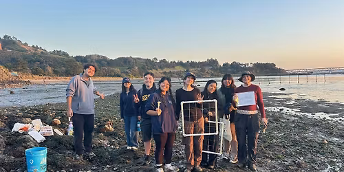 Stewardship Saturday: Discover the Bay\u2019s Oysters and Marine Life