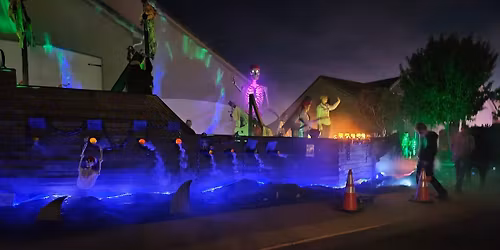 The Pirates of Dixie Springs!