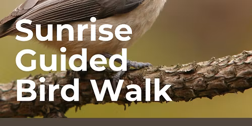 Sunrise Guided Bird Walk