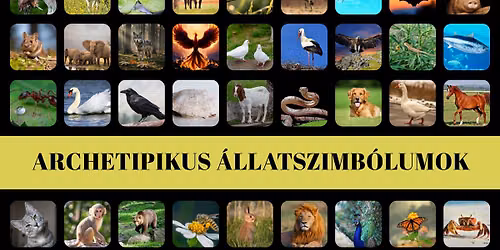 Archetipikus \u00e1llatszimb\u00f3lumok - k\u00e9pz\u00e9s