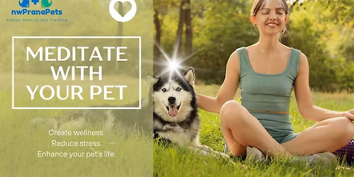 Meditate with your Pet