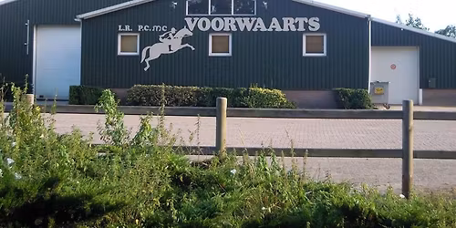 Dressuur en subtop paarden en pony\u2019s 