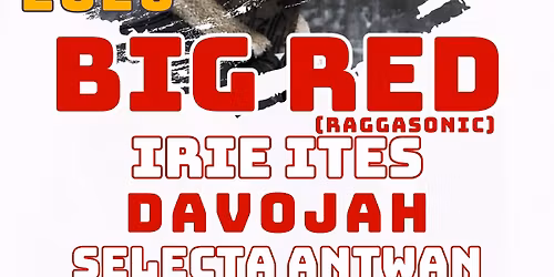 BIG RED\/IRIE ITES + DAVOJAH\/SELECTA ANTWAN + BALAGAN F\u00caTE SES 10 ANS