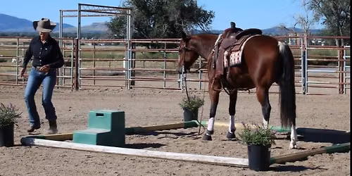 Chino Valley Cowboy Challenge & EXCA