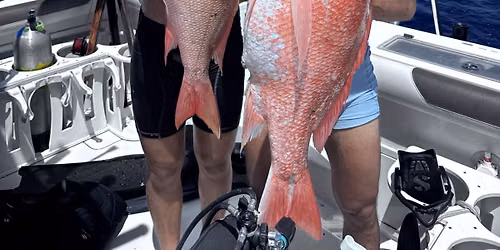 3-Tank Spearfishing Trip