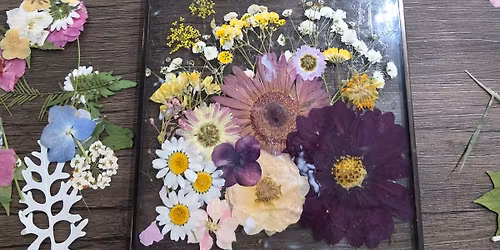 Hastings Pressed Flower Art Workshop 