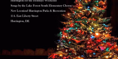 Christmas Tree Lighting