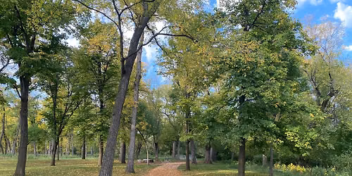 Free First Walk! Winnipeg 50+ Trail & Neighbourhood Stroll