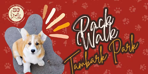 Tambark Park Community Pack Walk with A Canine Experience \ud83d\udc3e