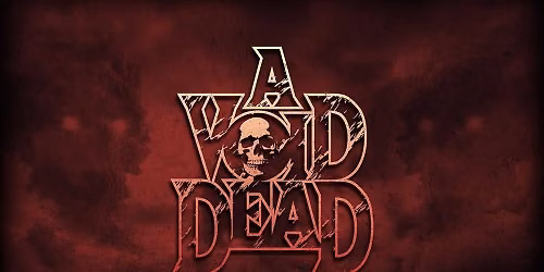 A Void Dead All Ages show and friends 