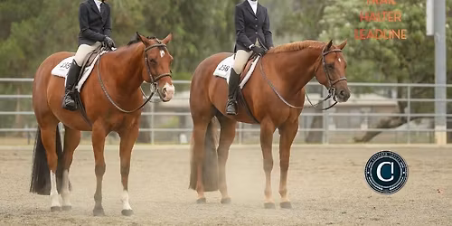 2026 CHHA All Breed Horse Show #2