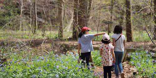 Spring into Spring at the Preserve
