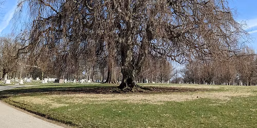 Winter Tree ID Workshop with the Indiana Arborist Association and the Crown Hill Arboretum