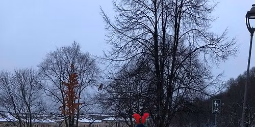 Vi l\u00f8per jula inn med T\u00f8yen parkrun