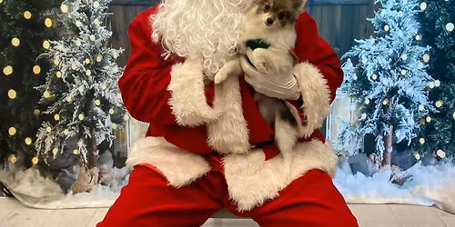 Take free photos of your pet with Santa!
