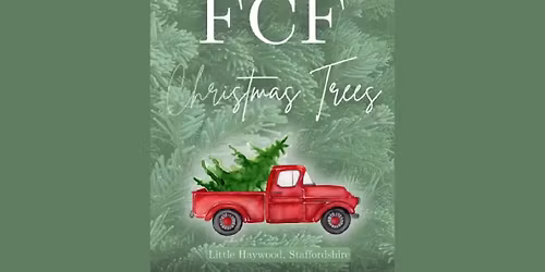 Christmas Trees at Far Coley Farm