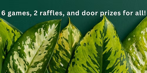 Plant and Book Bingo at Werner Books