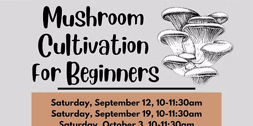 Mushroom Cultivation for Beginners