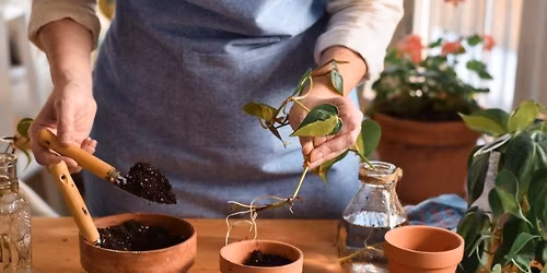Propagation Made Easy: 4 Week Course