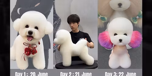 \ud83c\udf1f SILVER TAEK UK - Korean Style  \ud83c\udf1f \ud83d\udd25 SAVE THE DATE \ud83d\udd25