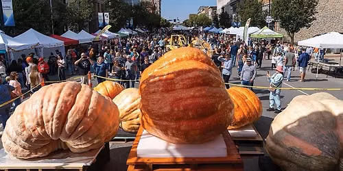 Virginia Deaton Music: Live at Operation Pumpkin Festival!