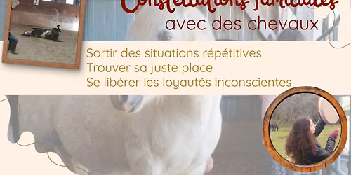 constellations familiales avec des chevaux, en groupe