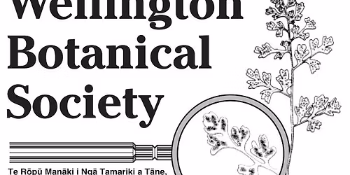 Evening meeting - Members' evening