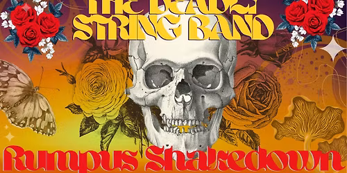 The Deadly String Band - Rumpus Shakedown