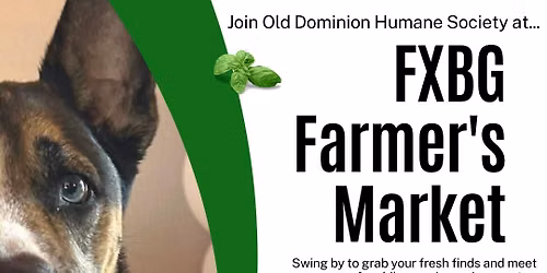 Farmer's Market Adoption Event August 8