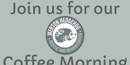 Hedgehog awareness week Coffee morning 