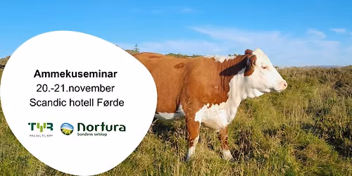 Invitasjon til Ammekuseminar i F\u00f8rde