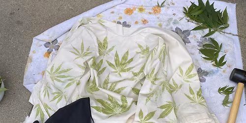 DYE CURIOUS Summer Special (Sunday afternoon cohort)
