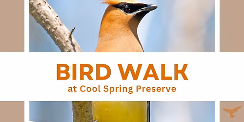 Bird Walk at Cool Spring Preserve