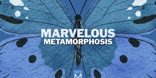 Marvelous Metamorphosis